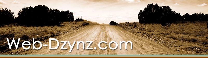 Web-Dzynz - Custom Web Design for Your Business